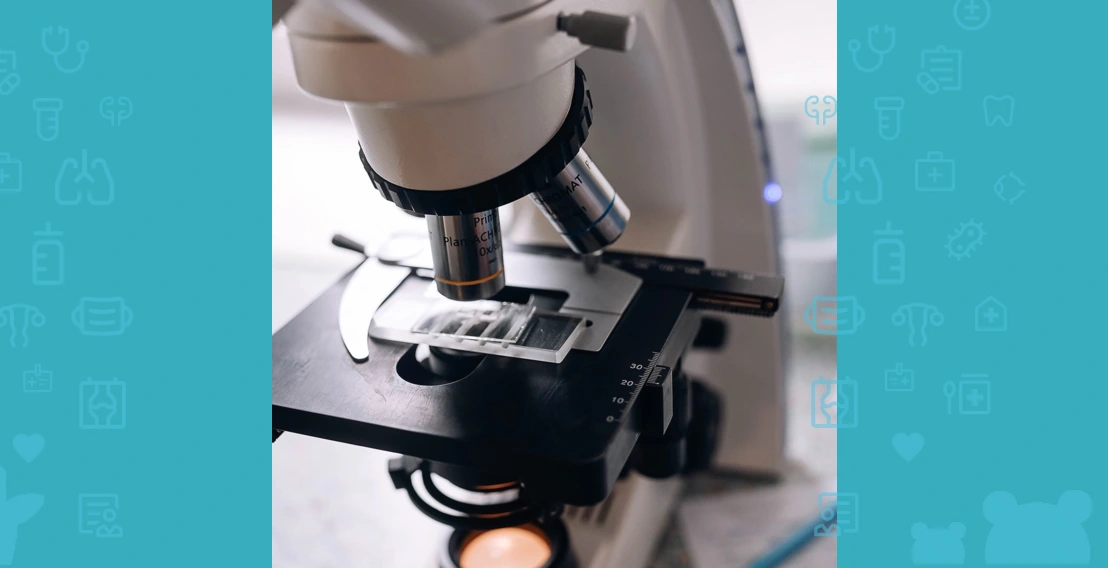 Кліщ демодекс під мікроскопом на шкірі людини