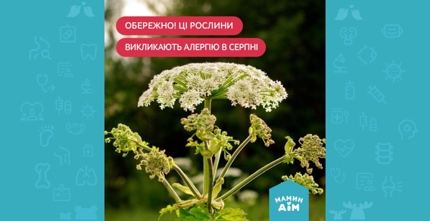 Обережно! Ці рослини викликають алергію в серпні.